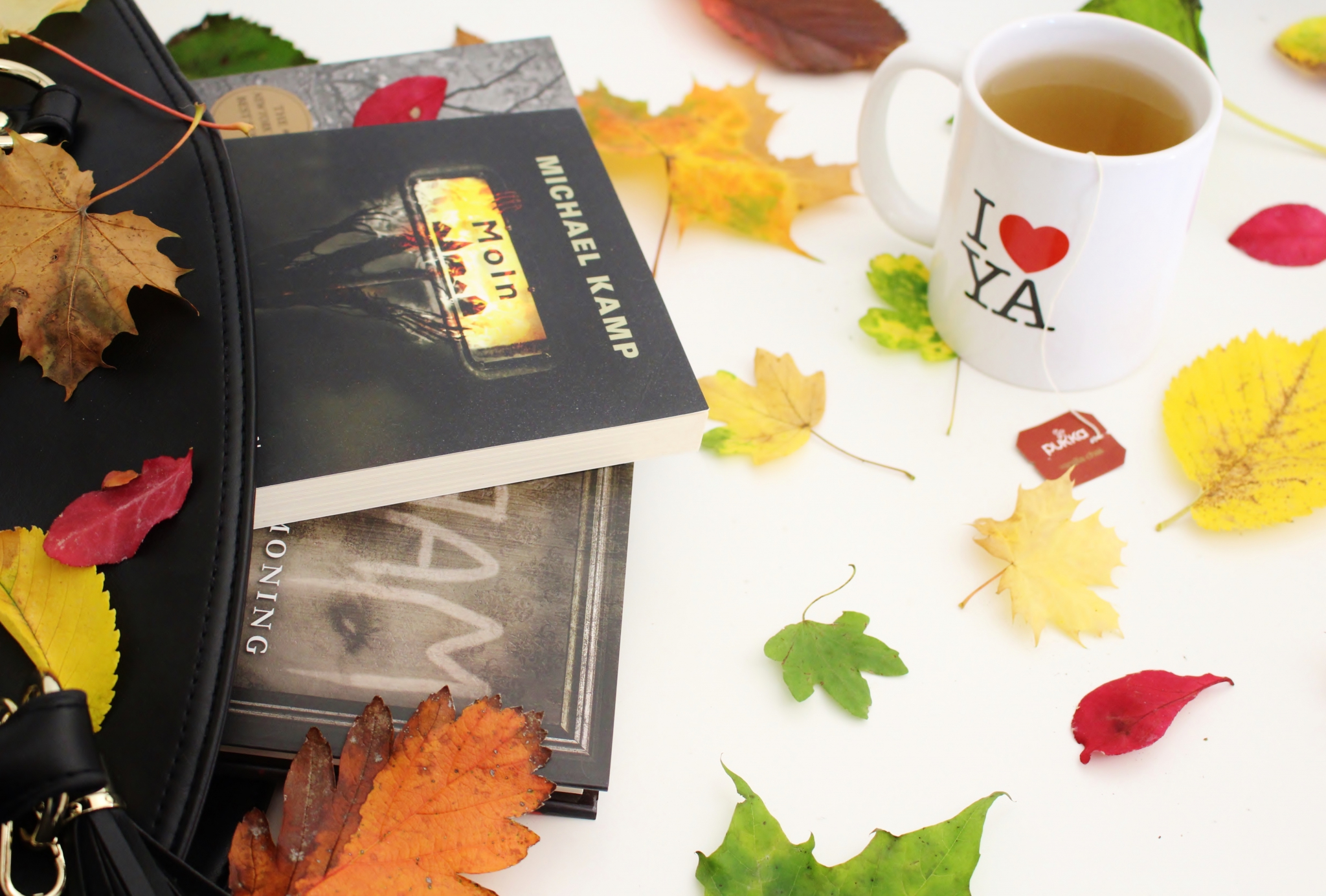 the-autumn-reading-tag